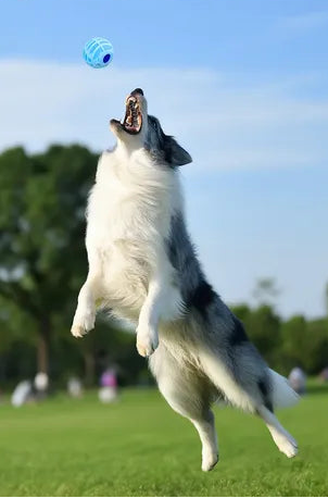Interactive Rolling Ball Toy for Cats & Dogs