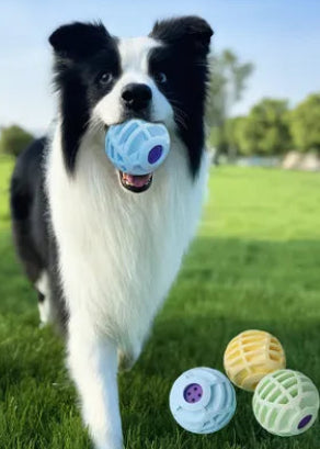 Interactive Rolling Ball Toy for Cats & Dogs